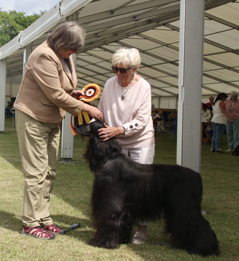 35fbd3da a372 4f19 929e a8367bc437b8 1 201 a