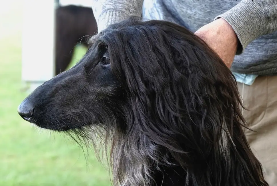 444502796 10159770453521400 463827456388667946 n