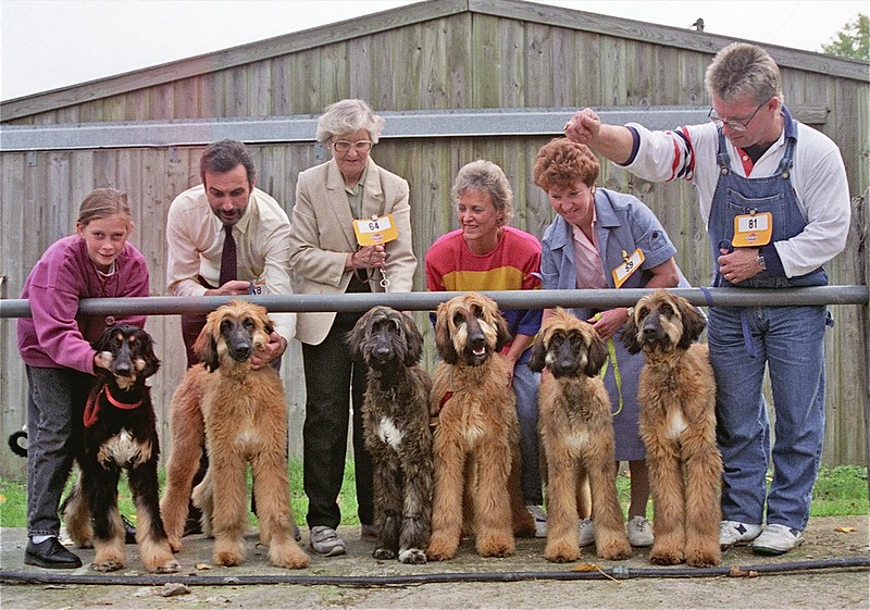 45971129631 c5deea0db2 c