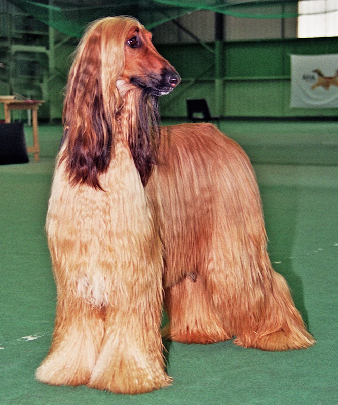 495134360 62013cca79 c