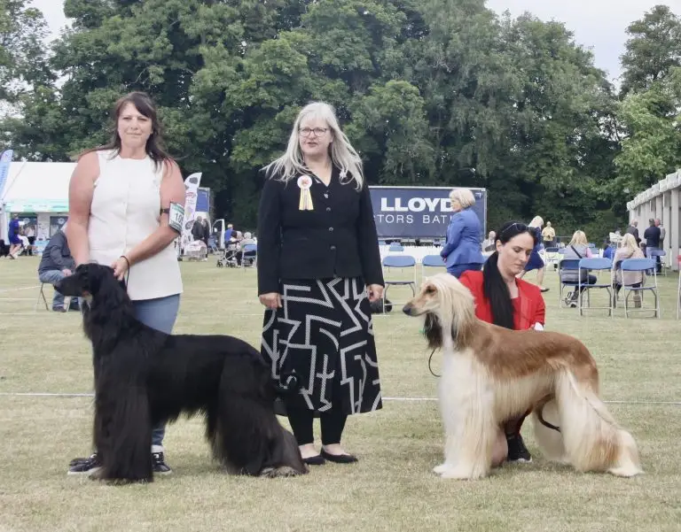 8edd11c3 83e5 43f5 a17d ede08c2dd681 1 201 a