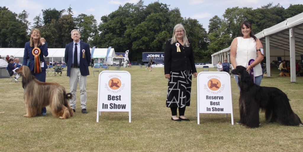 99a38401 def8 466a b009 9e0f6ab21526 1 105 c