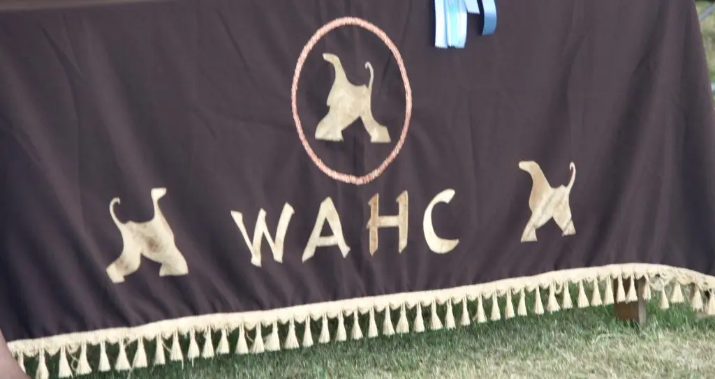 9e6db659 bc0f 45f9 923f 69b17ddd43e7 1 201 a