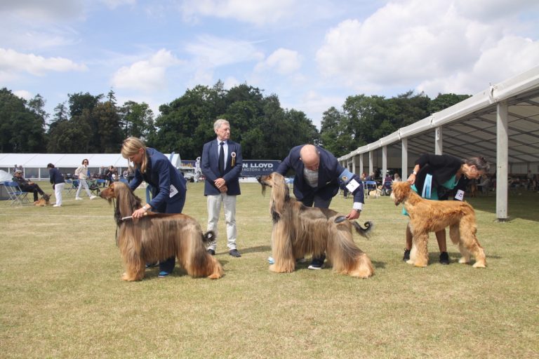 b1db1589 936b 41a7 9cf1 07714d16db28 1 105 c