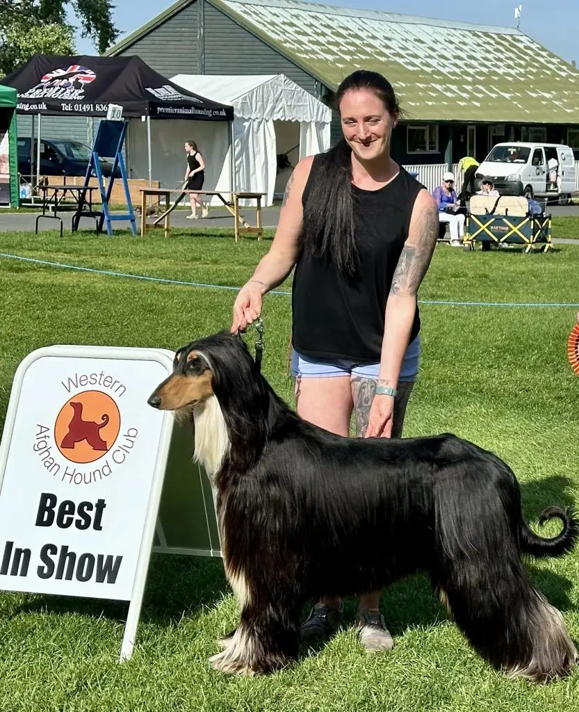 2025 Open Show img 2729 copy