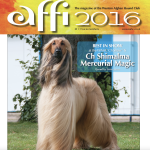 screenshot 2025 09 27 at 10.58.46