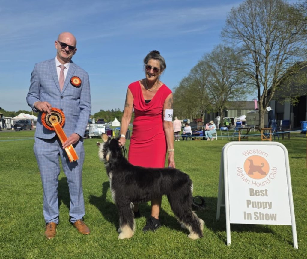 2025 Open Show att.8oo23atzto6b7ootkx t70fq4ay74llm4bqtbaqbng0