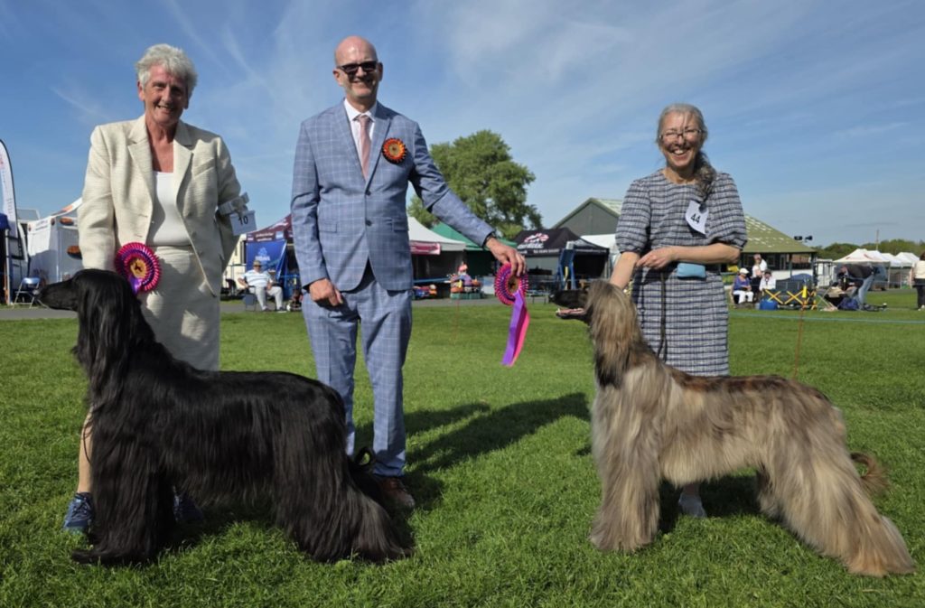 2025 Open Show att.ebkjgxcyetbdoi ocvaqh2tvgzcjkavkkvz2gzbpjpo