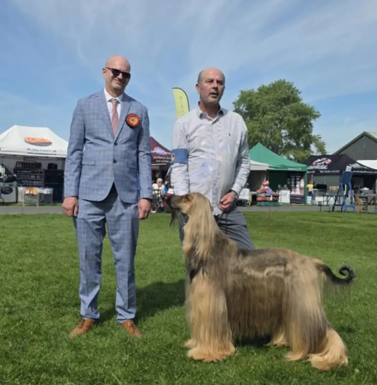 2025 Open Show att.m7mvtrrpxa338slk16qlpt7b es7ayxhd7n34iuzfn4