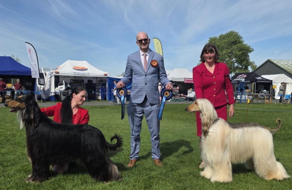 2025 Open Show att.vobroiydokfqpz7b3mkrobshsjbgqdggazwxvnkkkas