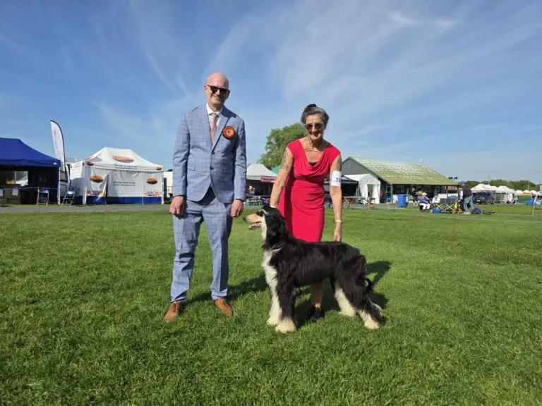 2025 Open Show att.hj1smfxfyf2ltfrpqjxl2bluoah4abv4dfez cm5u0i