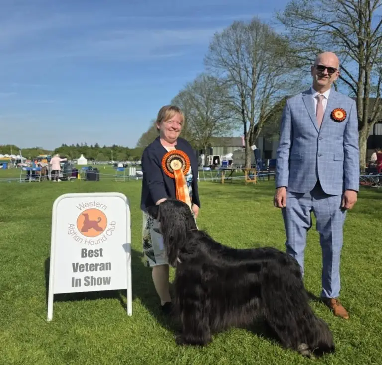 2025 Open Show att.vsg4e49uop2fm9awj1uer1sevgd6xrgsndheowjewig