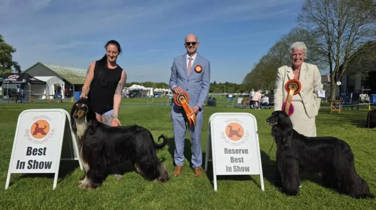 2025 Open Show att.w9vhsgx3lph69jdp04cus9galpuf29zld mslrkj 5g