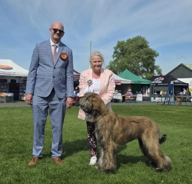 2025 Open Show att.xtjpsu pvcirkaoxuw0ed3vyl2jjuuyoegb 10c9g2i